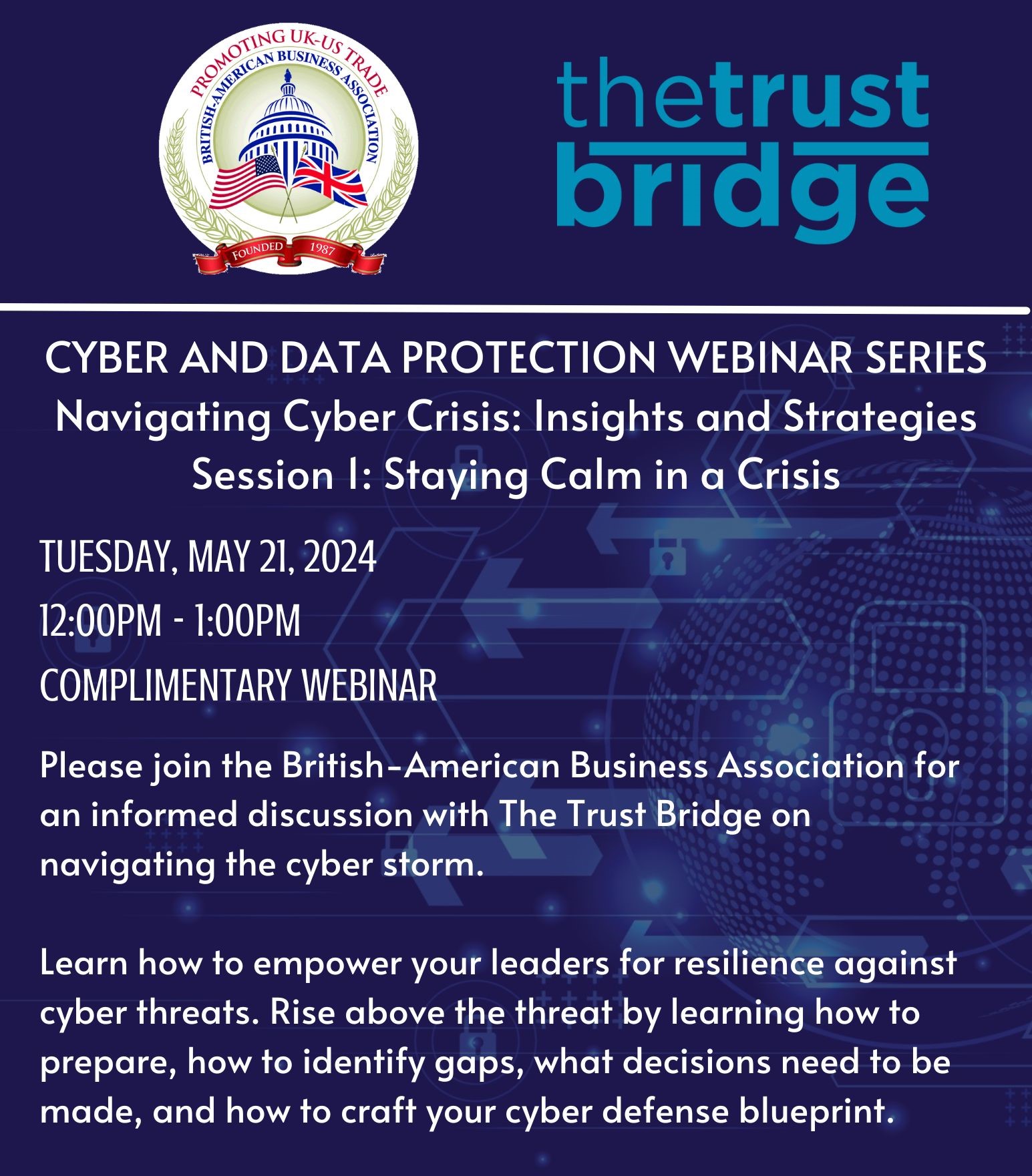Navigating Cyber Crisis: Insights and Strategies