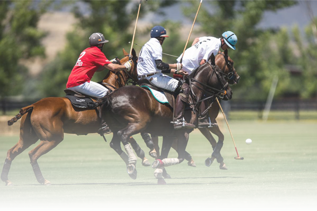 Habitat for Humanity Metro Maryland's 2nd Annual Polo Classic!