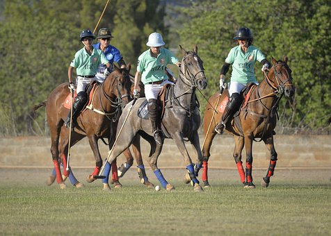 Polo men and horses
