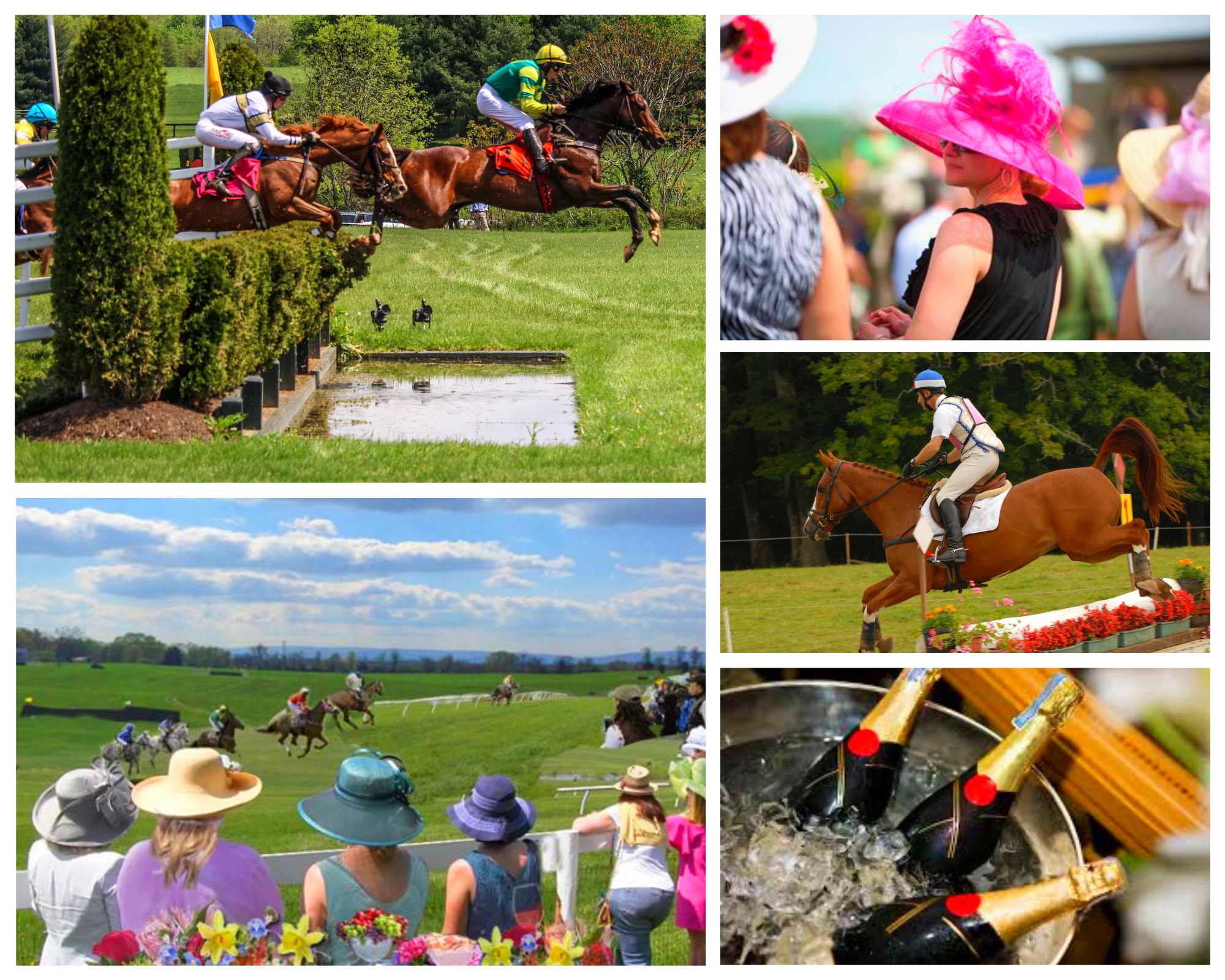 SOLD OUT! Virginia Gold Cup Steeplechase