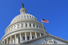 Building the next generation of government contractors